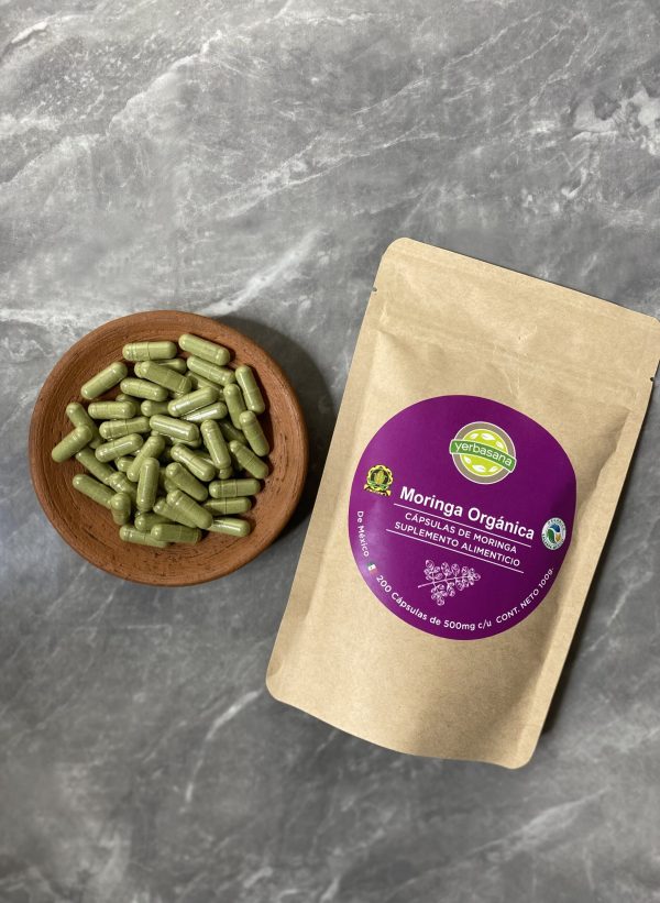 Moringa Orgánica